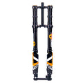 FastAce ALX13RC 2.0 Front Fork